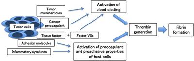 Unmet Needs in Managing Myocardial Infarction in Patients With Malignancy